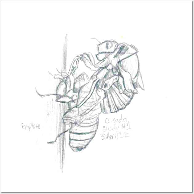 Graphite Cicada Wall Art by Art of V. Cook